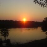 Blog thumbnail