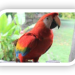 Blog thumbnail